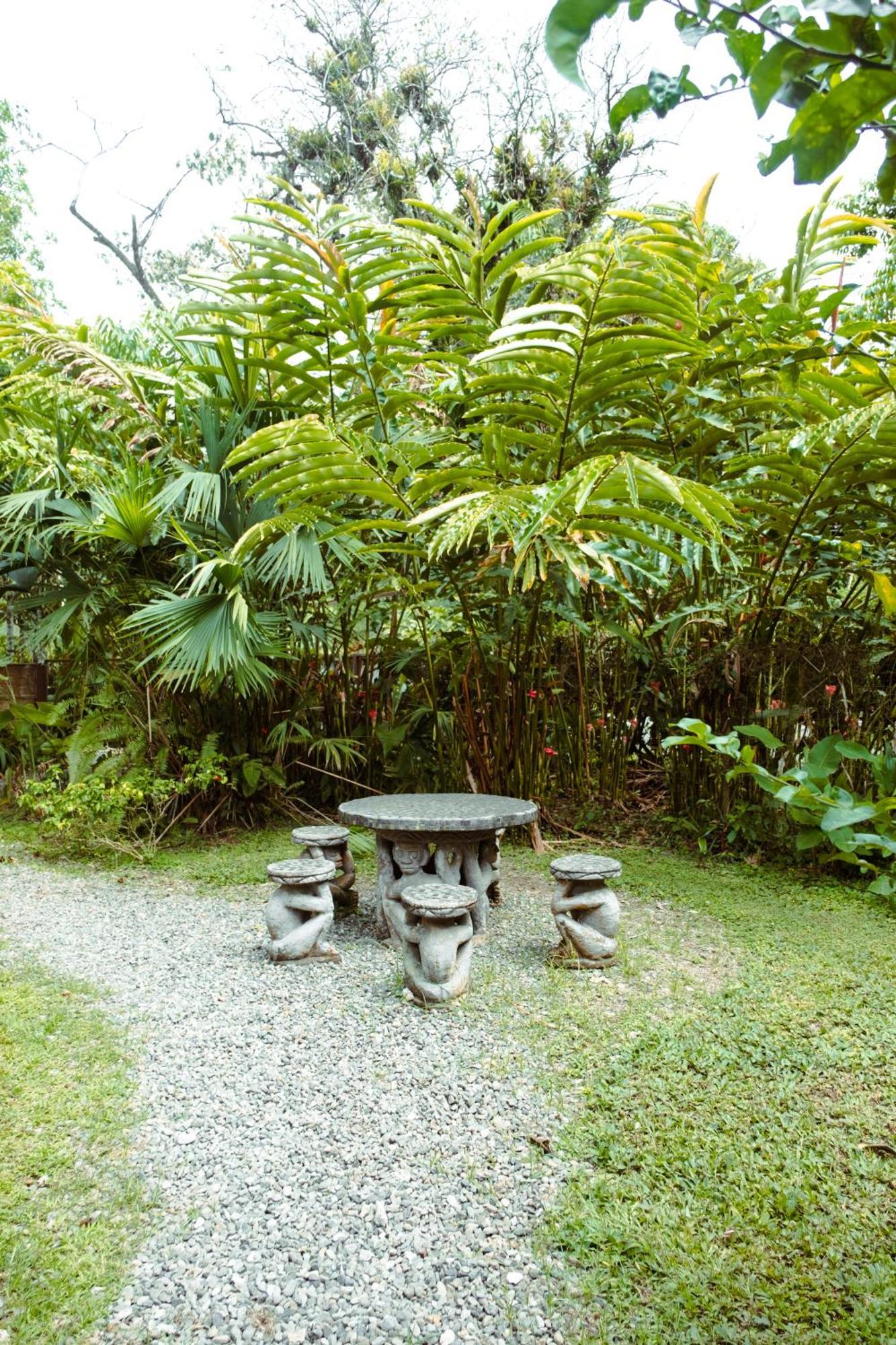 Pura Vida Vegana Hotel Cahuita Exterior foto